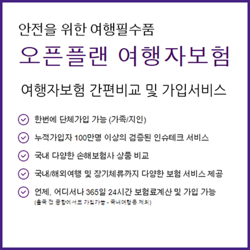 [전세계 해외여행객 대상]렌트카만 비교하시지 마시고 여행자 보험도 비교해보세요