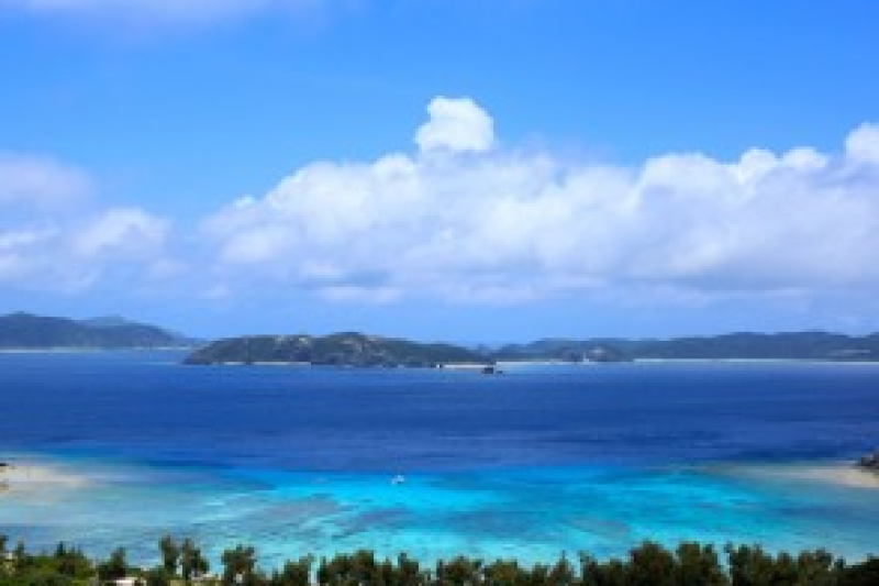 高速船orフェリーで行く！渡嘉敷島 ＜ウミガメが棲む♪とかしくビーチ＞日帰り海水浴ツアー（ランチ付）
