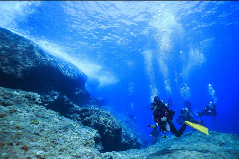 【那覇出発】沖縄でダイビングライセンス取得！PADI オープン・ウォーター・ダイバー・コース