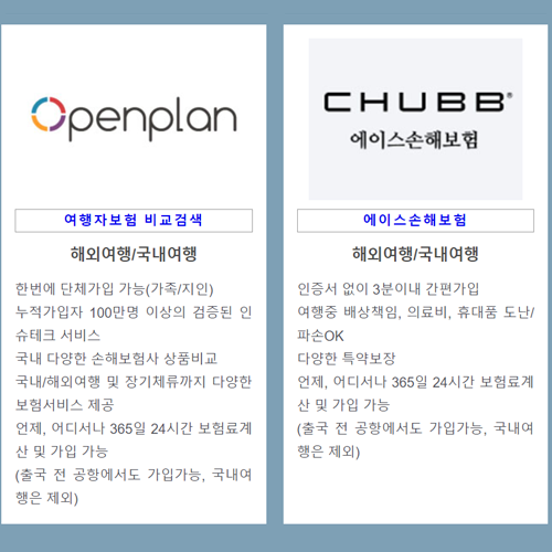 해외여행의 든든한 버팀목이 되어줄 여행자 보험을 소개합니다.