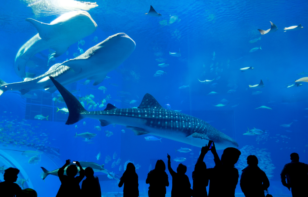 오키나와 여행을 쾌적하게 보내기 위한 장마철 필수품과 추천 복장5