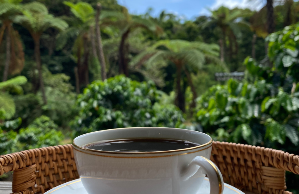 오키나와 여행을 쾌적하게 보내기 위한 장마철 필수품과 추천 복장9