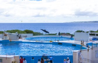 무료로 즐길 수 있는 오키나와 여행지 5곳 명소 추천 해양박물관 기념공원 아메리칸빌리지 우미카지테라스 과보반타 자카미성터