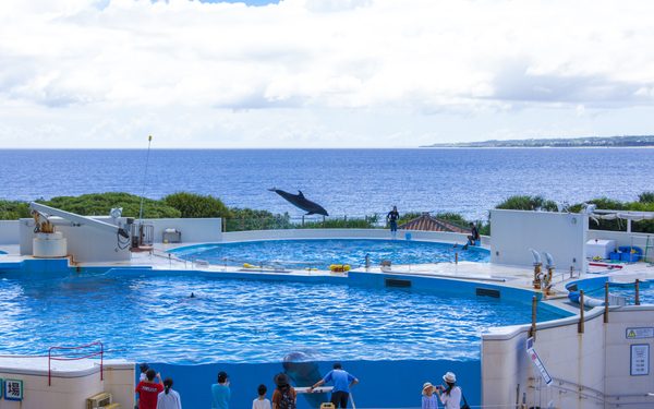 무료로 즐길 수 있는 오키나와 여행지 5곳 명소 추천 해양박물관 기념공원 아메리칸빌리지 우미카지테라스 과보반타 자카미성터