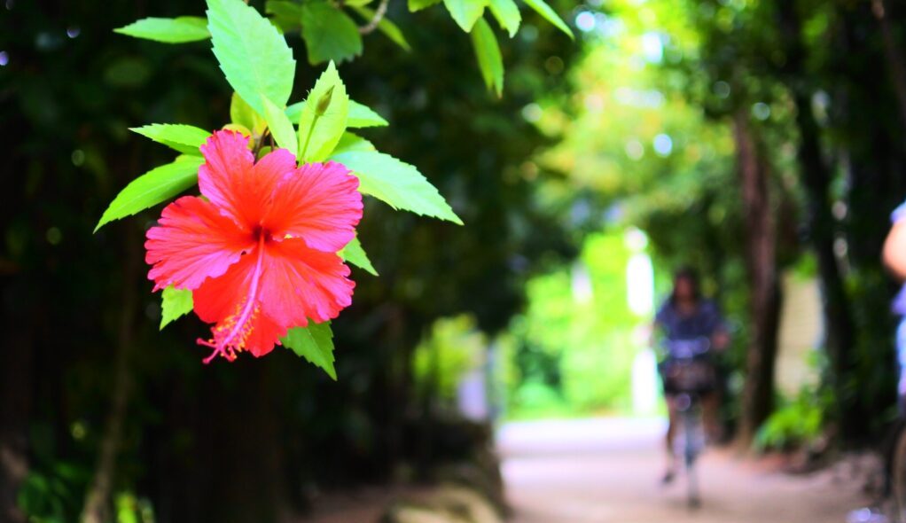 오키나와 자유여행 2박 3일 추천 코스