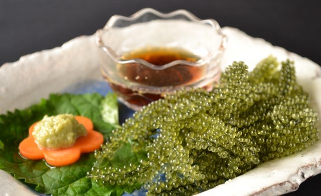 우미부도(바다 포도)