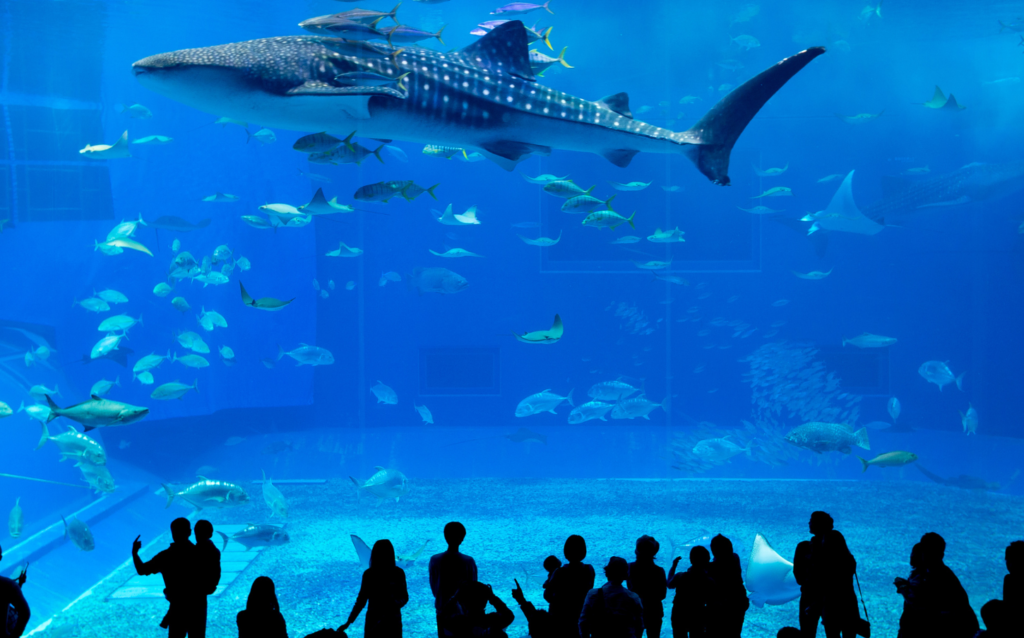 오키나와 자유여행 2박 3일 추천 코스