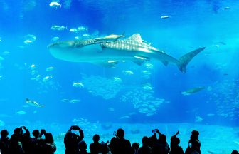 오키나와 11월 날씨