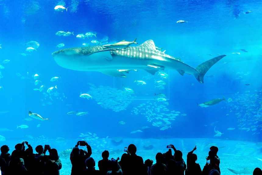 오키나와 11월 날씨