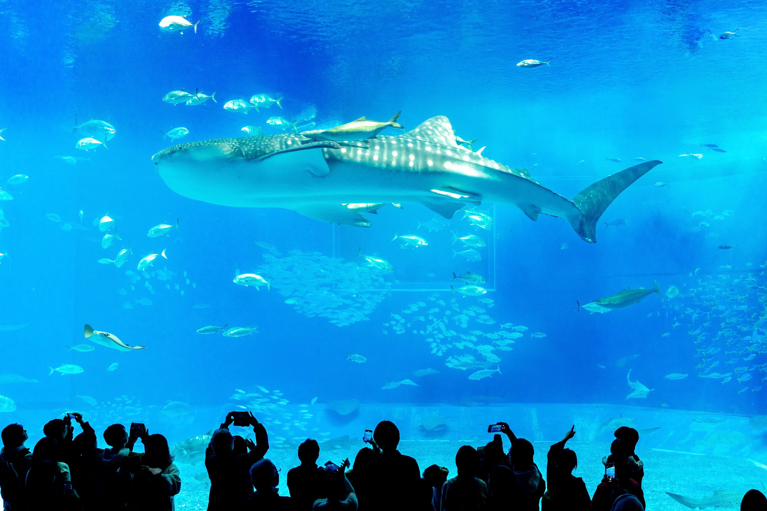 오키나와 11월 날씨