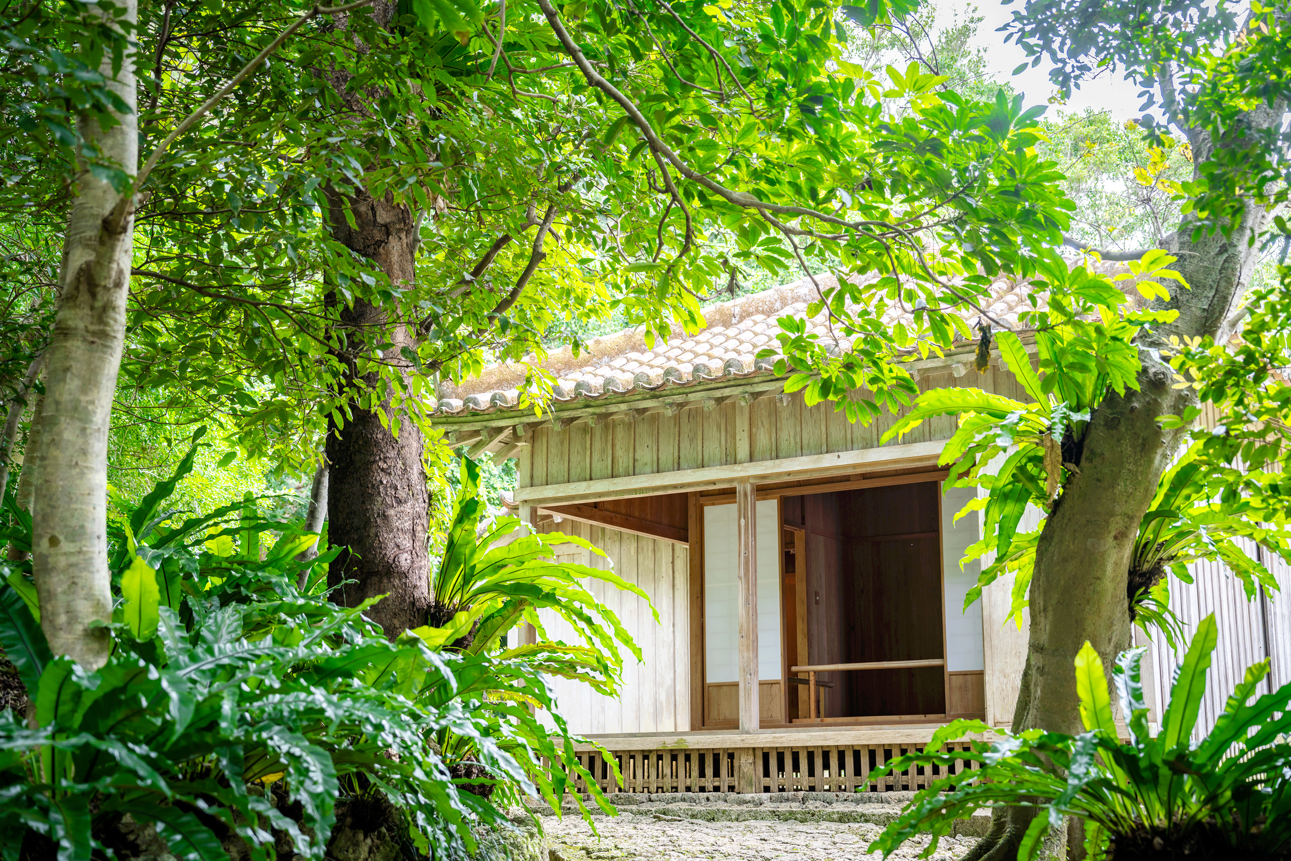 오키나와 자유여행 시키나엔 숲속의 건물