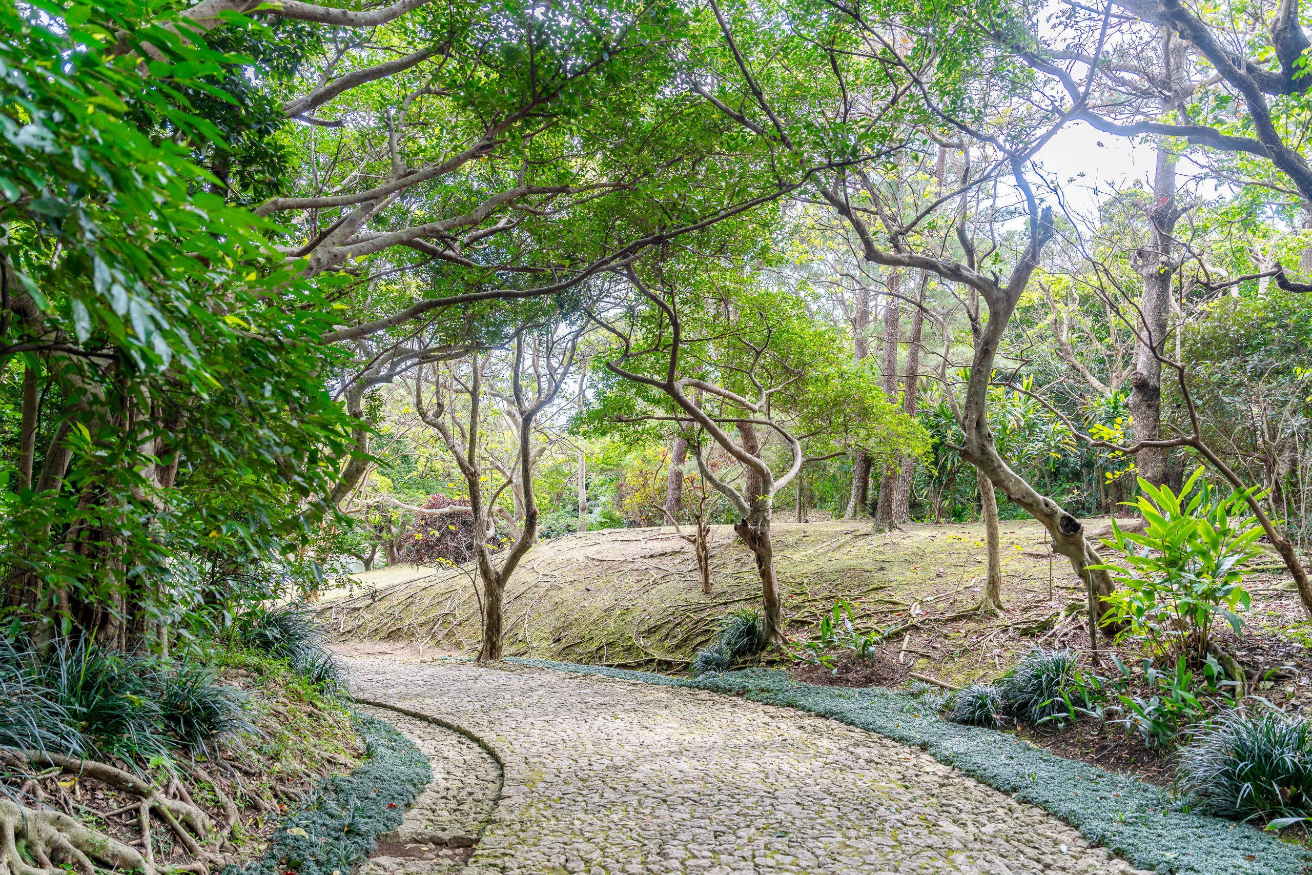 오키나와 자유여행 시키나엔 정원