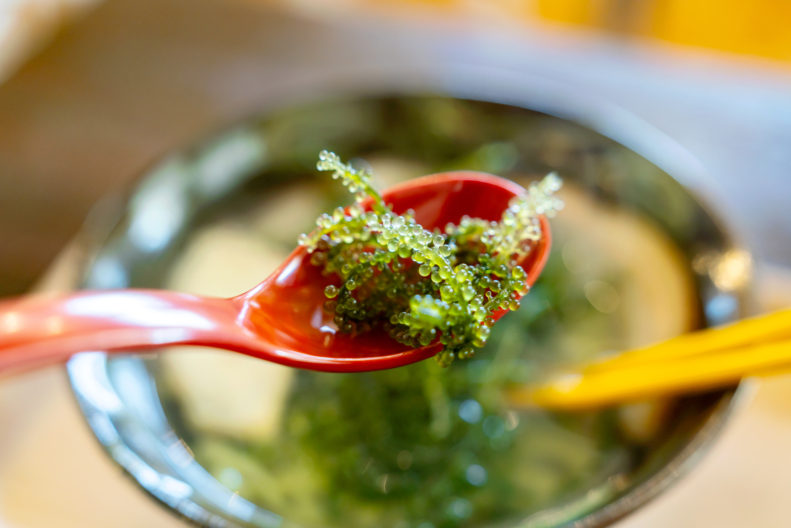 오키나와 우미부도