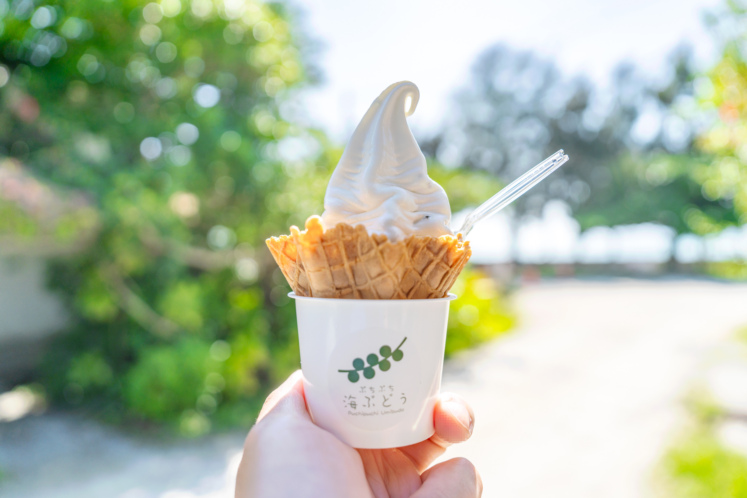 바다포도 아이스크림