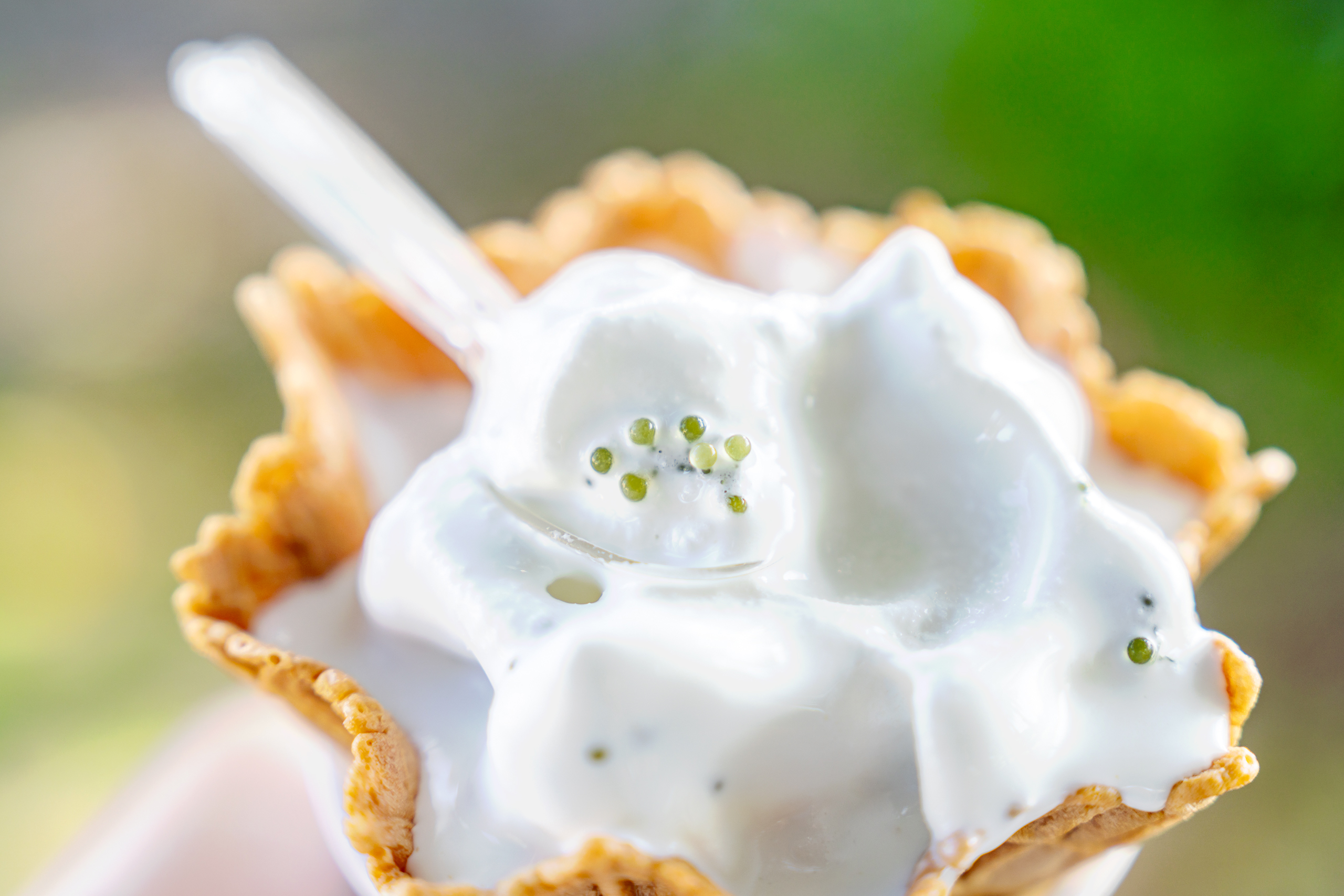 우미부도 아이스크림