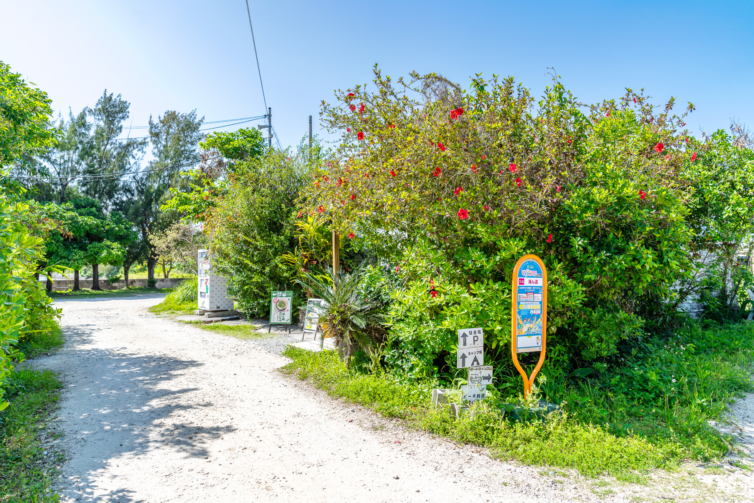 우미부도 양식장 가는길