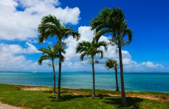 오키나와 12월 날씨 옷차림 준비물