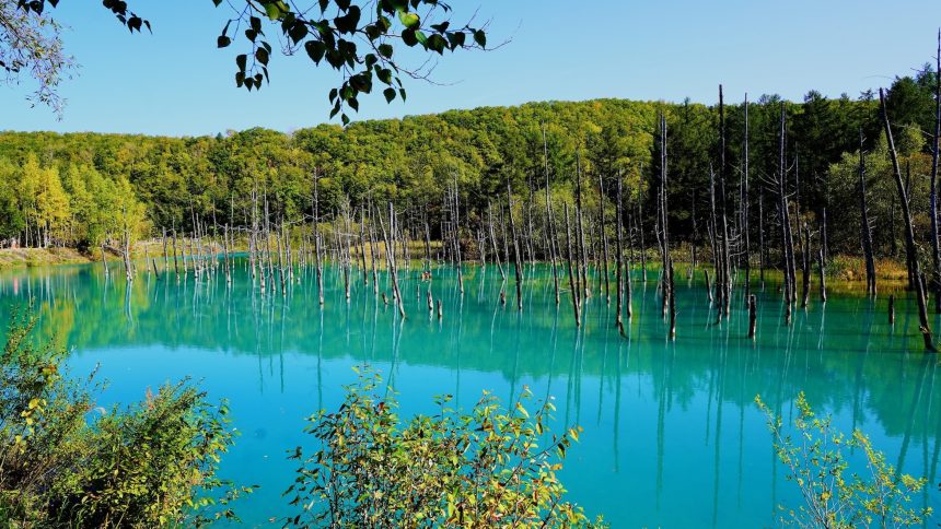 홋카이도 9월 날씨 옷차림 준비물 렌터카