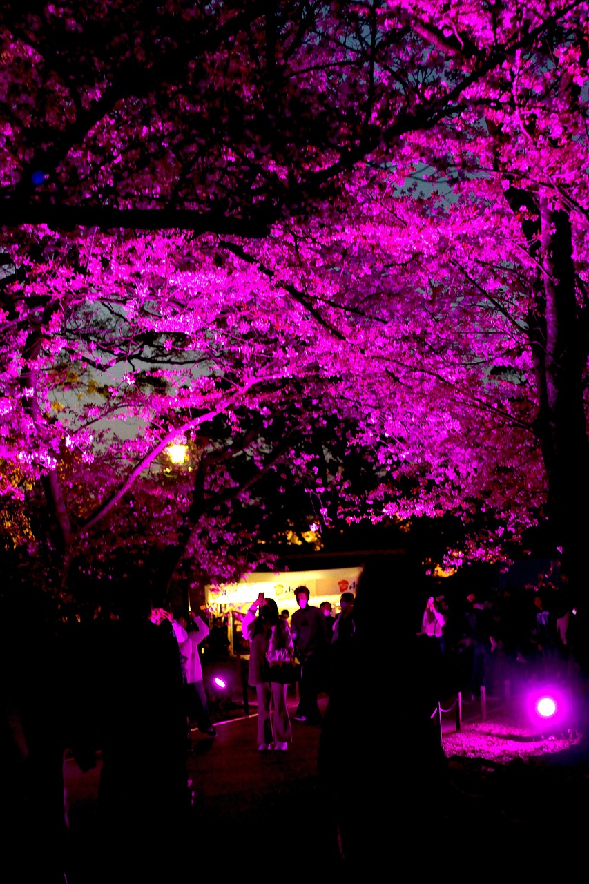 후쿠오카 4월 날씨 옷차림