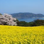 후쿠오카 4월 날씨 옷차림 준비물