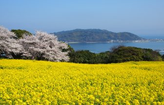 후쿠오카 4월 날씨 옷차림 준비물
