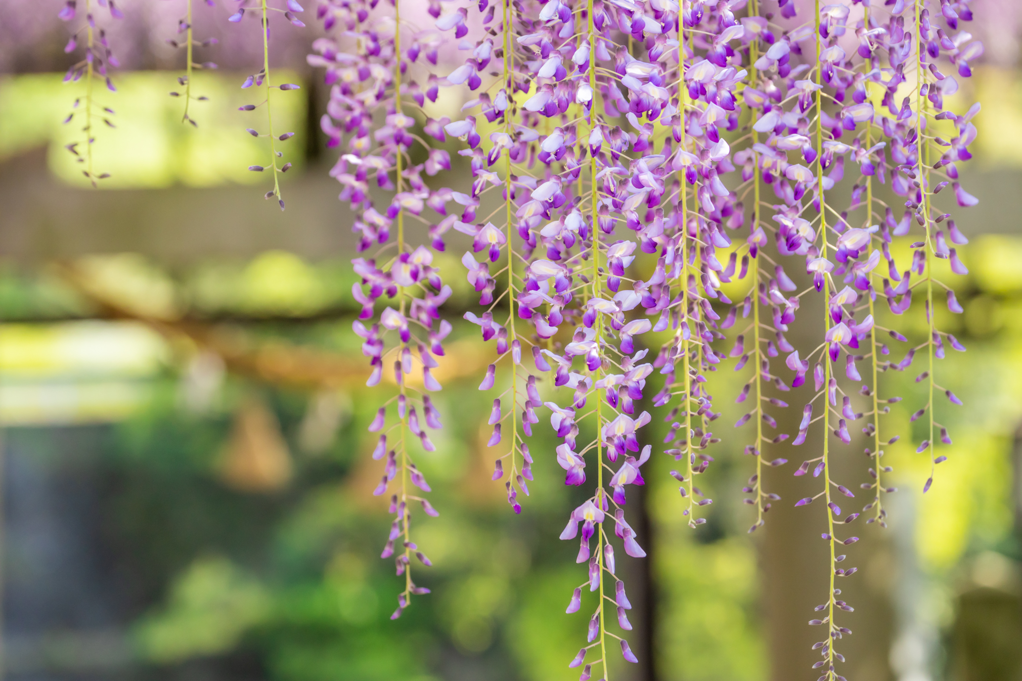 후쿠오카 4월 날씨 옷차림 준비물