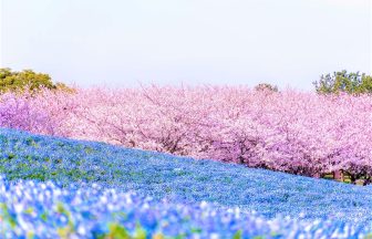 후쿠오카 5월 날씨 옷차림