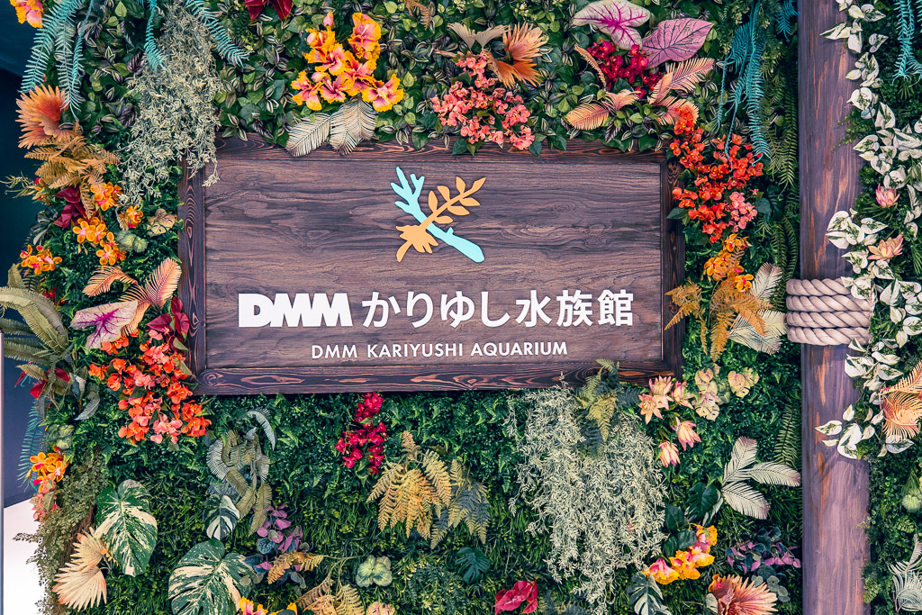 DMM 가리유시 수족관 식물 포토존 간판
