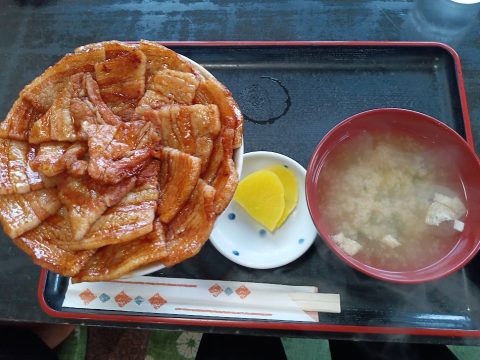 오비히로 부타동 두툼한 돼지구이 위에 달콤짭조름한 소스