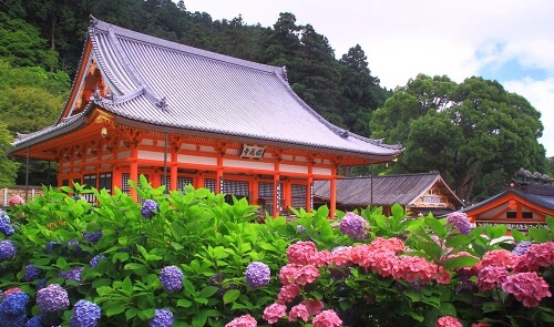 카츠오지 다루마 풍경