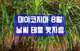미야코지마 8월 날씨 완전정리｜기온·수온·태풍·자외선·옷차림·추석(오봉) 성수기 가이드