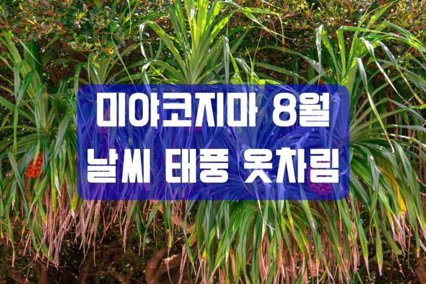 미야코지마 8월 날씨 완전정리｜기온·수온·태풍·자외선·옷차림·추석(오봉) 성수기 가이드