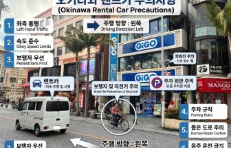 [오키나와 렌트카 주의사항] 한국인이 꼭 알아야 할 6가지 + FAQ 총정리 (좌측통행·속도·주차·음주운전)