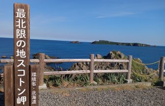 홋카이도 8월 날씨 완전정리｜기온·옷차림·한국 비교·레분섬 꽃 트레킹·렌터카 여행 가이드
