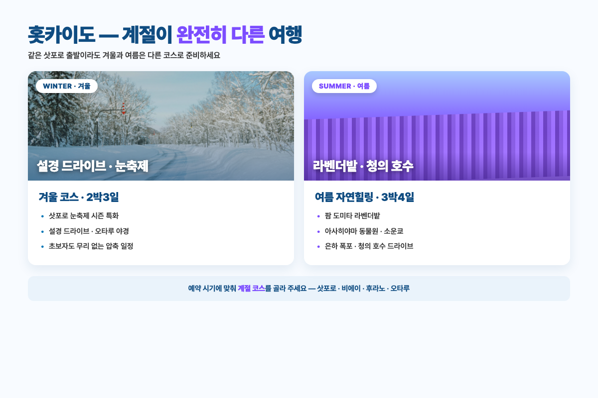 홋카이도 겨울 설경 드라이브와 여름 라벤더밭 코스 비교