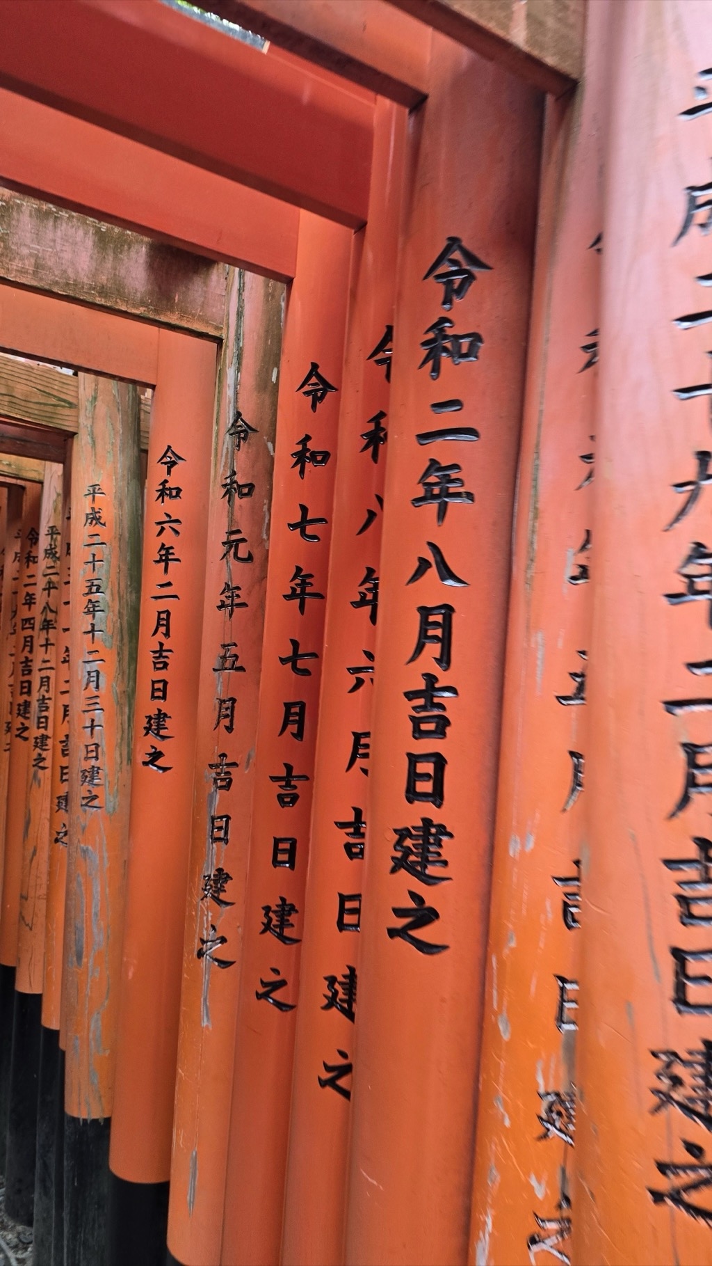 후시미 이나리 신사 도리이 봉납자 이름이 새겨진 뒷면 令和 二年 八月 吉日 建之 등 봉납일 표기
