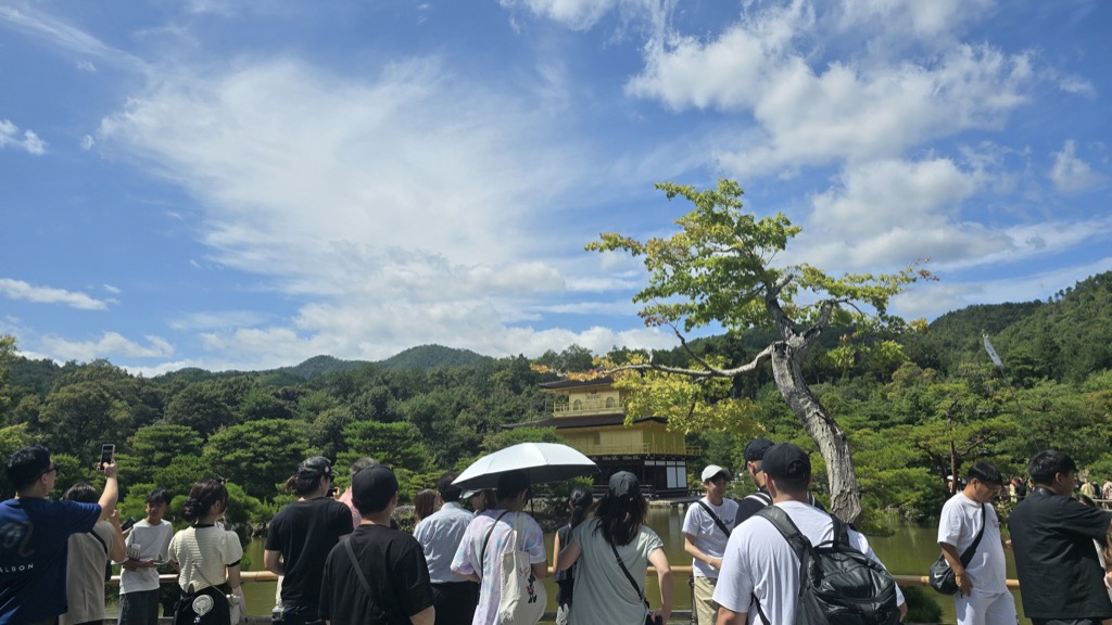 금각사 정면 관람 지점에서 우산을 쓴 관광객들이 사리전을 바라보는 실제 현장 풍경