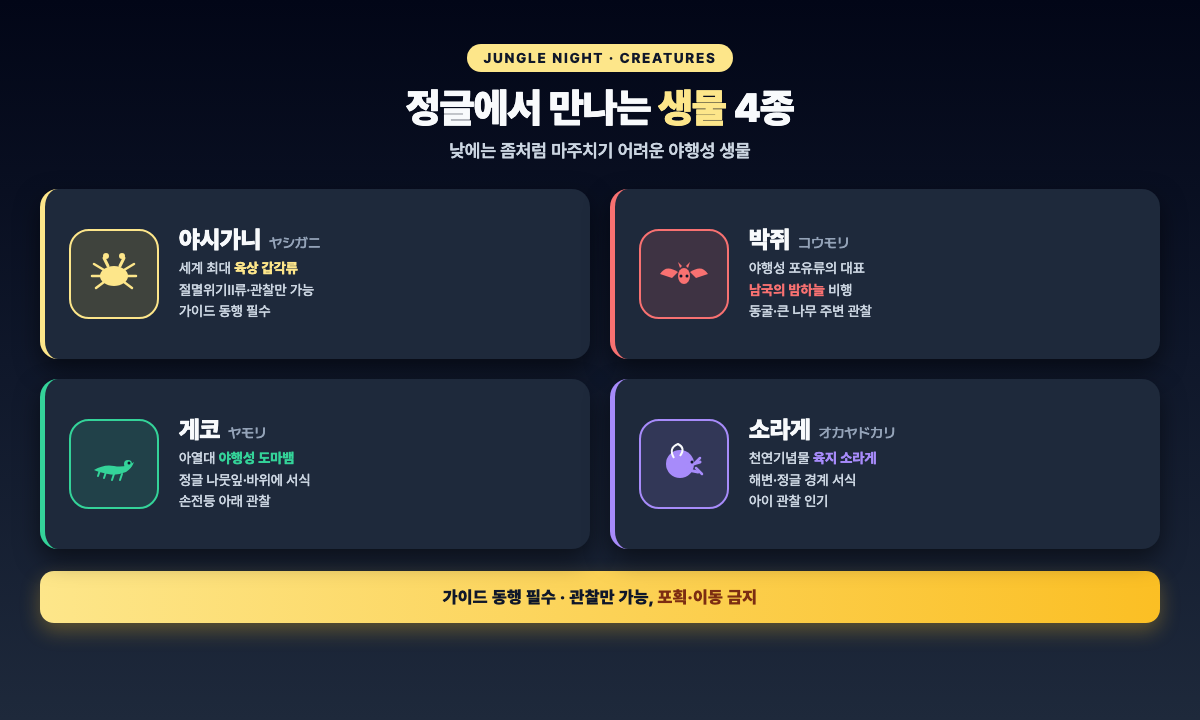 정글에서 만나는 생물 소개 — 야시가니·박쥐·게코·소라게 4셀 그리드 포인트카드