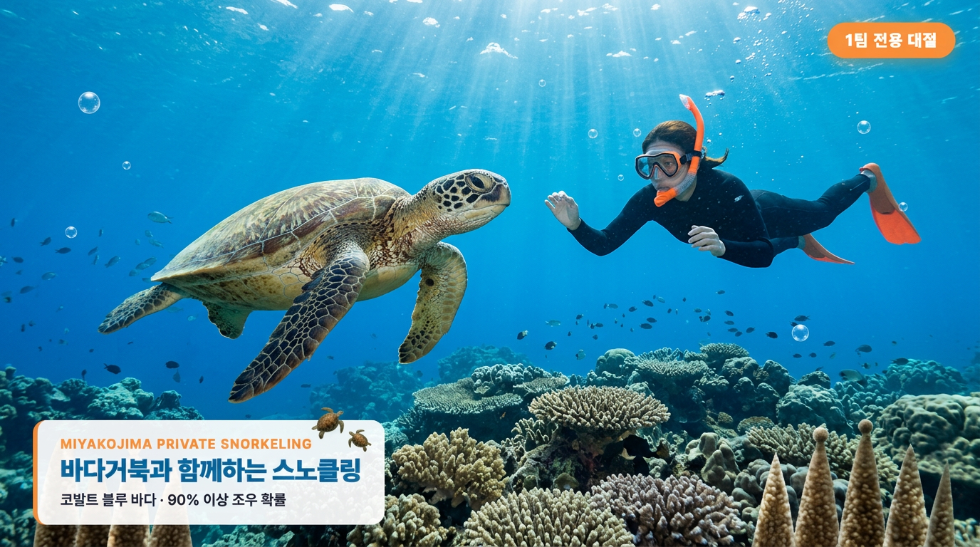 바다거북과 함께하는 미야코지마 프라이빗 스노클링 상품 카드