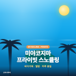 미야코지마 프라이빗 스노클링 투어 — 1팀 대절 바다거북 인생샷