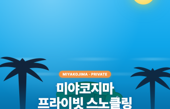 미야코지마 프라이빗 스노클링 투어 — 1팀 대절 바다거북 인생샷