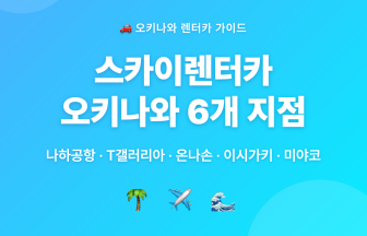 스카이렌터카 오키나와 6개 지점 총정리 — 저희가 취급하는 이유