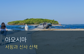 미야자키 아오시마 서핑 필수 코스｜아오시마 신사