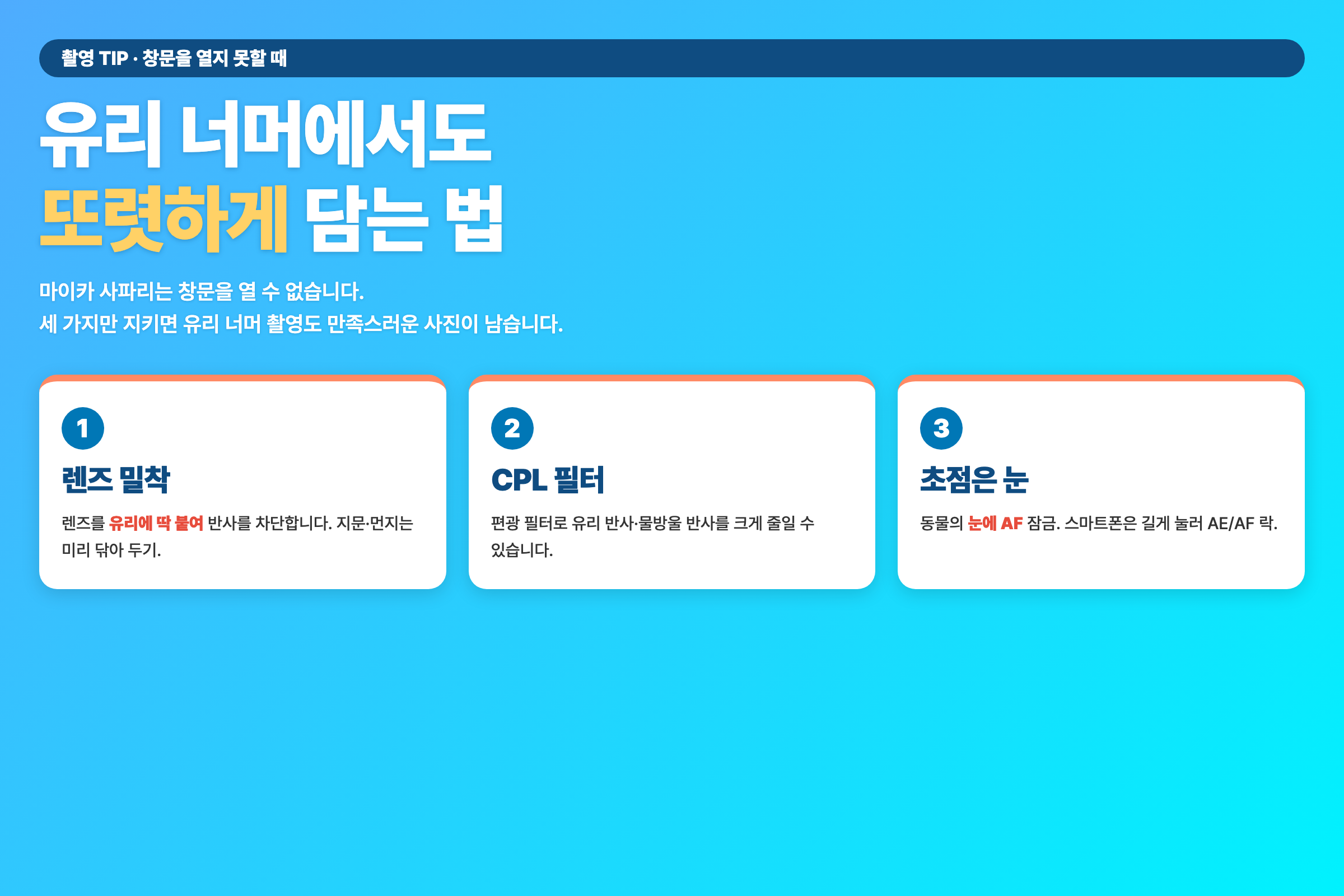 창문을 열지 못할 때 유리 너머 촬영 3원칙 — 렌즈 밀착·CPL 필터·초점은 눈