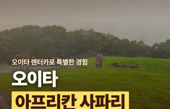 오이타 렌터카로 특별한 경험 오이타 아프리칸 사파리