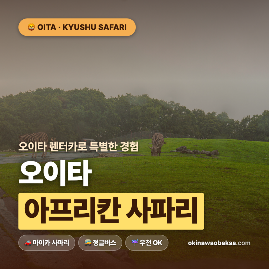 오이타 렌터카로 특별한 경험 오이타 아프리칸 사파리